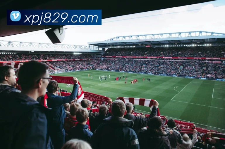 多媒体互动体验